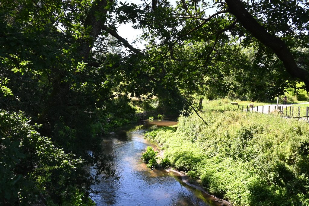 DSC 1937 1024x683
