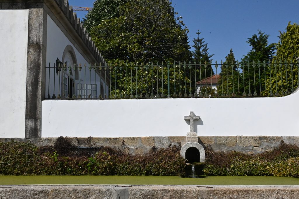 DSC 2053 1024x683