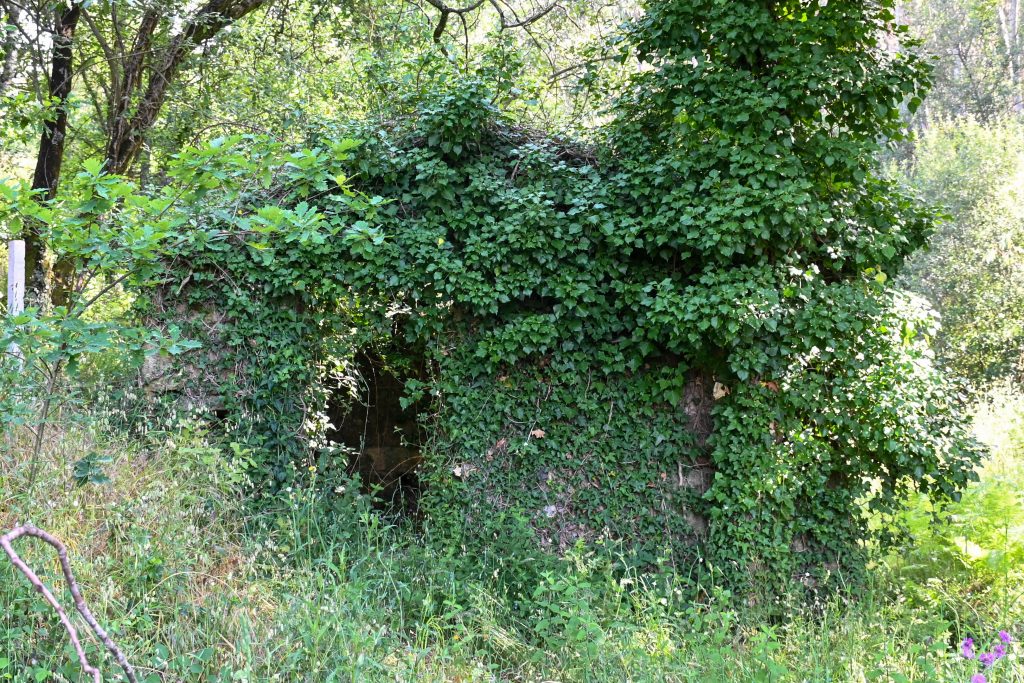 DSC 2143 1024x683