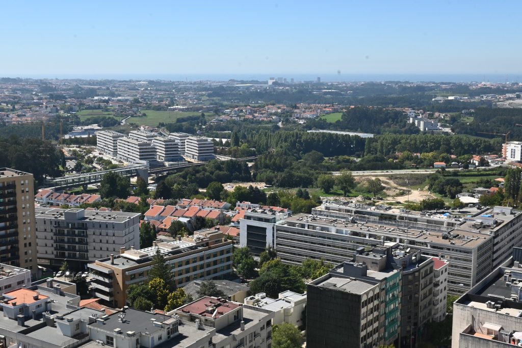 DSC 2831 1024x683